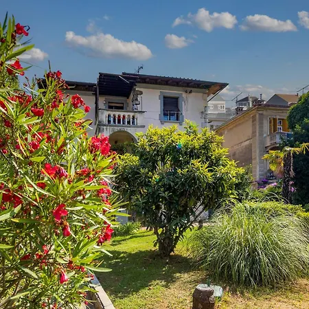 City With Garden - Happy